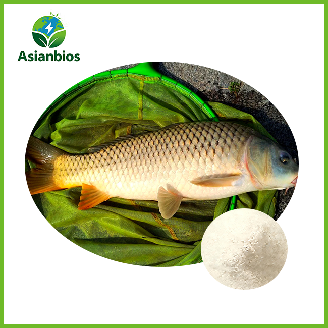 Fish Collagen Peptide powder